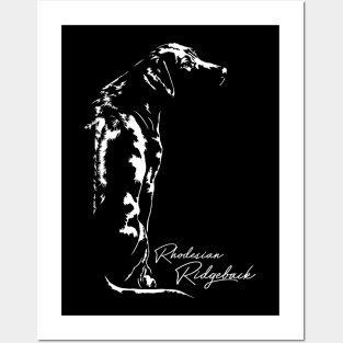 Rhodesian Ridgeback dog portriat dog mom gift Posters and Art